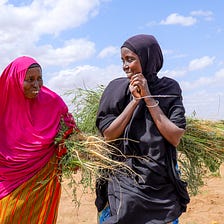 Innovative Irrigation-as-a-Service for Food System Resilience in East Africa