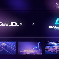 SeedBox will enter the Galaxy Arena Metaverse as part of the launchpad aggregator