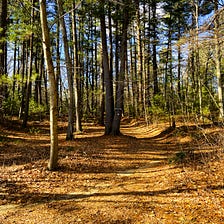 Walking in the Footsteps of Henry David Thoreau