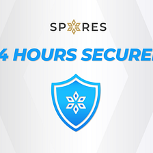Spores 24h Secured Policy