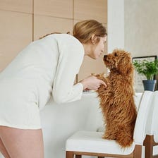 How to Train Your Dog for Emotional Support?