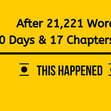 After 21,221 Words, 30 Days & 17 Chapters Later- This Happened!