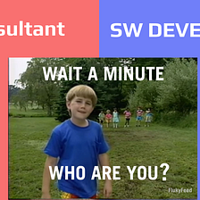 Technical Consultant vs Software Engineer. Which career is for you?