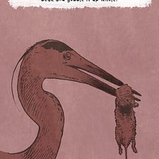 An Illustrated Guide to Bay Area Water Birds