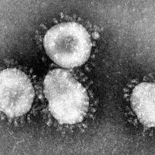 SciTech Bulletin 4.9 — Coronavirus