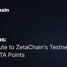 ZetaChain Testnet Guide