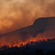 Use Case: Wildfire Detection