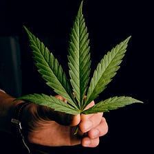 New York’s First Legal Dispensary is Open: What That Means for CBD Retailers