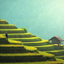 Should We Scale Back Civilization to Protect All Terrestrial Life?