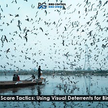 Scare Tactics: Using Visual Deterrents for Bird Control