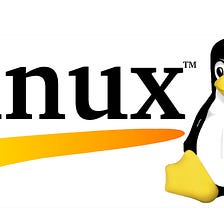 Linux commands & text-editors that every developer must know