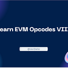 Learn EVM Opcodes VIII