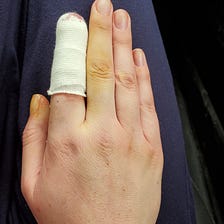 My Foster Dog Ate My Finger