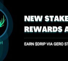 $DRIP Stake Pool Rewards!