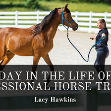 A Day in the Life of a Professional Horse Trainer