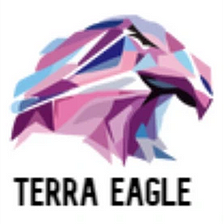 India cybersecurity firm Terra Eagle making its base in Bahrain