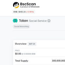BscScan update information