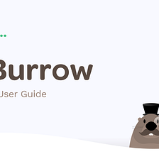 How to Burrow: A Step-by-Step User Guide