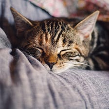 5 Tips to Get Better Sleep