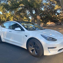 Reluctant Tesla Car Buyer