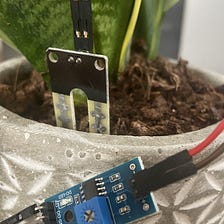 Automatic Plant Watering System Using Arduino UNO