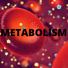 What can Destroy Your Metabolism?