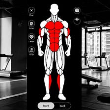 MuscleMap App to Improve Your Fitness Journey