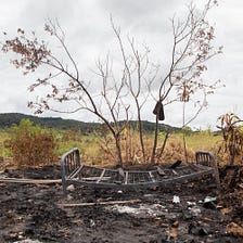 The old ways are gone: Papua New Guinea’s tribal wars become more destructive
