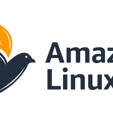 Swift EC2 Instance Assessment: A Python Script for Amazon Linux 1 Migration Readiness