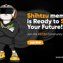 Shihtzu Exchange is The Rise of Meme Coins: It Is A Fad or a New Era in the meme coin industry!!