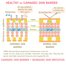 Healthy vs Damaged Skin Barrier