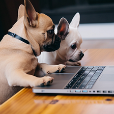 Learning JavaScript from ChatGPT