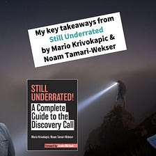 Book Review “Still Underrated” by Mario Krivokapic and Naom Tamari-Wekser