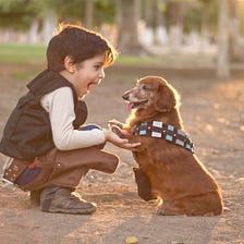 Reasons why pets are good for children