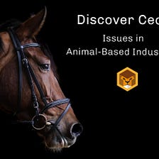 Discover Cecil - Part 1: Issues in Animal-Based Industries