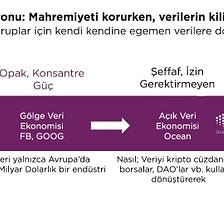 Ocean Ekosistemine Bütünsel Bir Bakış