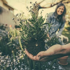 Pro Tips for Gardening at Home