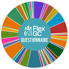 You may have heard that FlexGC recently launched a user questionnaire. But do you know why?