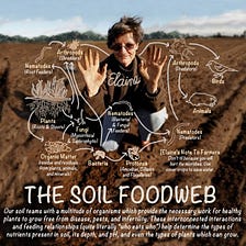Soil Science and The Secret Life of Plants
