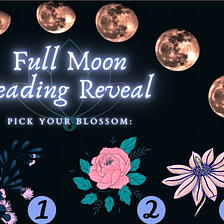 🔥🌸Full Moon In Virgo: Pick A Blossom For Your Twin Flame Oracle Card Reveal