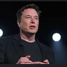 Elon Musk — 6 months down the line