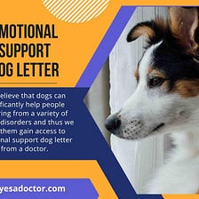 Emotional Support Dog Letter