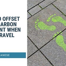 Ways to Offset Your Carbon Footprint When You Travel | Chris Janese | Travel