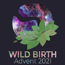 WILD BIRTH: Advent 2021 Reflection Guide