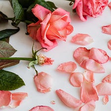 Are You Using Organic Rosewater?
