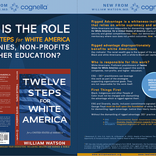 Twelve Steps for White America in Companies, Non-Profits and Higher Ed