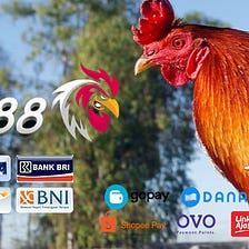 SV388 Live Sabung Ayam Online Terpercaya