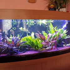 How often should you change your aquarium’s water?