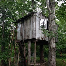 Living in a Treehouse (Part 1)