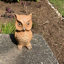 What Have You Been DIY-ing Lately?